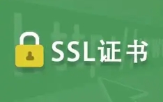 Генератор самоподписанных SSL-сертификатов